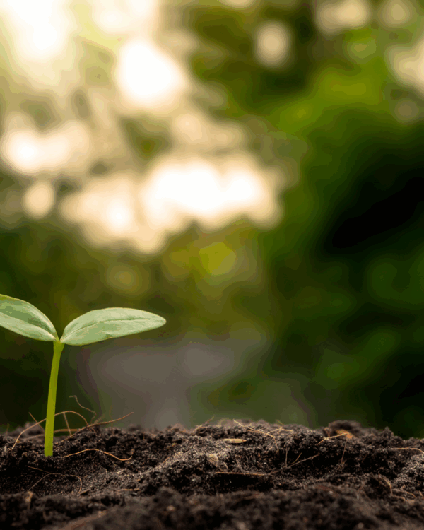 7 Smart Strategies to Grow Your Practice Sustainably