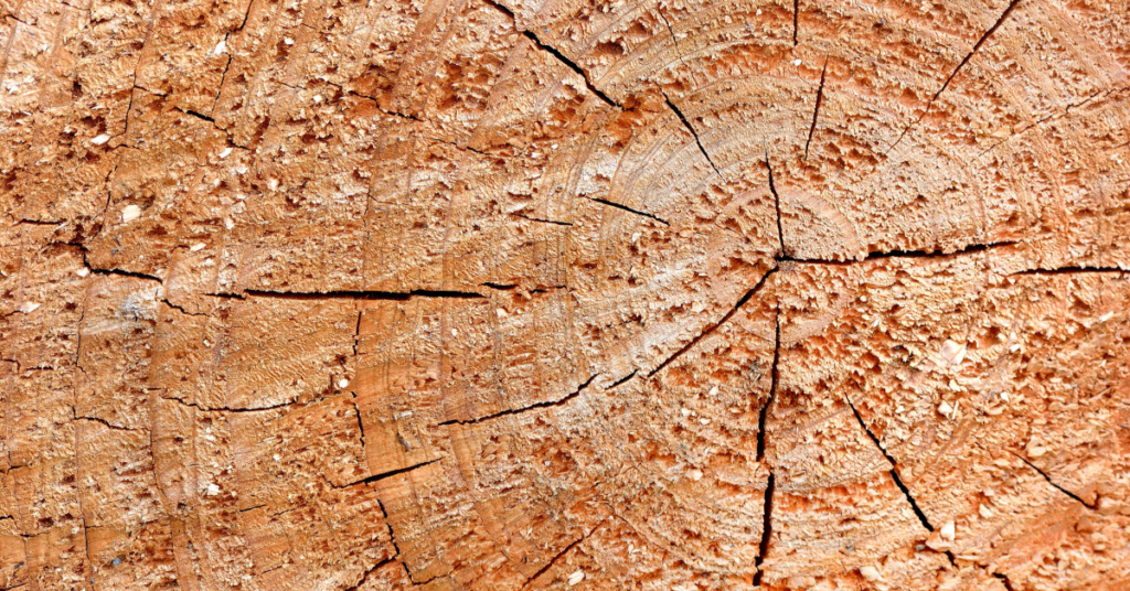Cedarwood Essential Oil