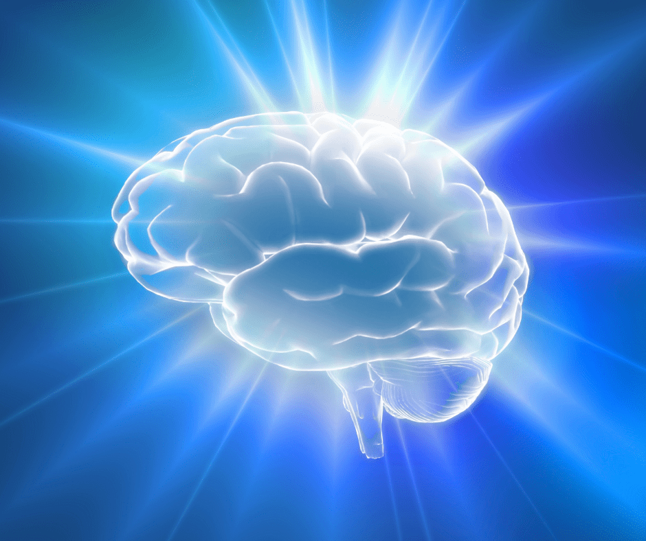 The brain-boosting benefits of novelty