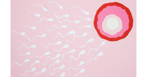 subfertility and infertility